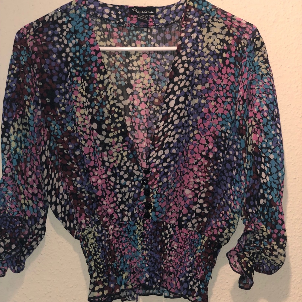 Multi Colored Sheer Crop top.